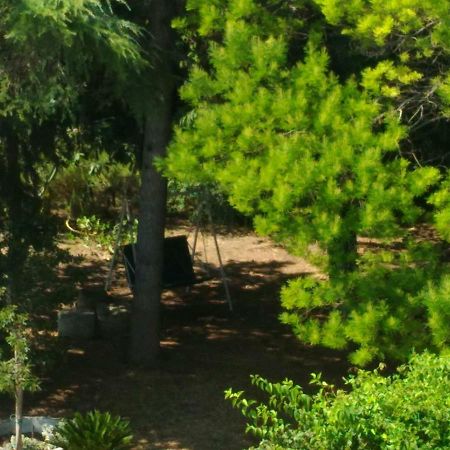 לינה וארוחת בוקר Paestum House מראה חיצוני תמונה