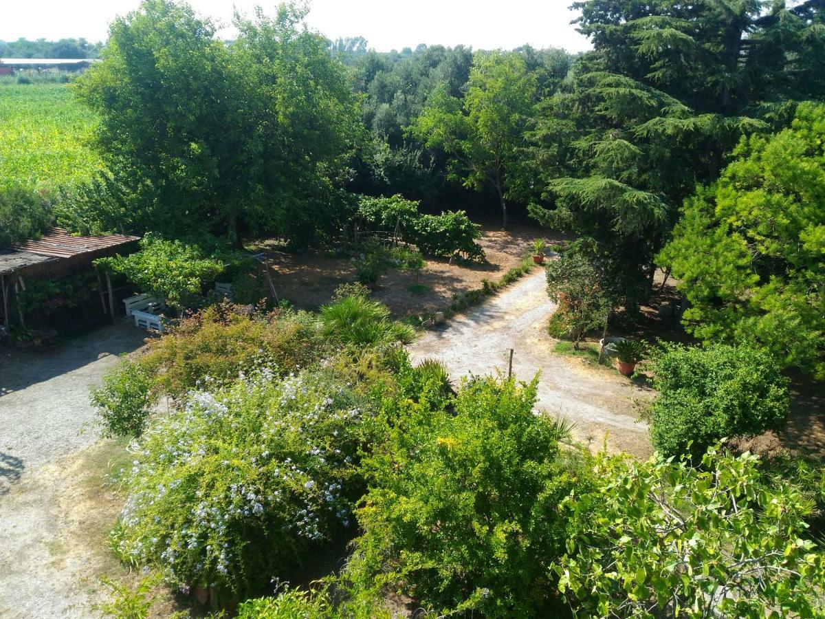 לינה וארוחת בוקר Paestum House מראה חיצוני תמונה